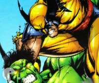 Wolverine vs Hulk Puzzles