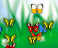 Butterfly Clix