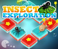 Insect Exploration