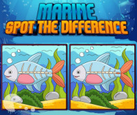 Marine Spot the Difference