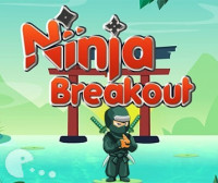 Ninja Breakout