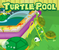 Turtle Pool