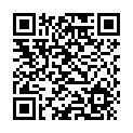 Scanne und spiele auf deinem Handy oder Tablet qrcode