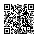 Scanne und spiele auf deinem Handy oder Tablet qrcode