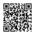Scanne und spiele auf deinem Handy oder Tablet qrcode